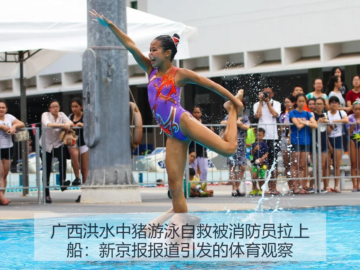 广西洪水中猪游泳自救被消防员拉上船:引发的体育观察